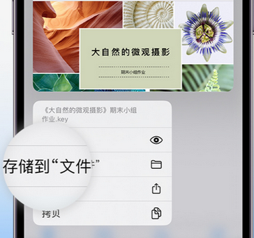 莲池apple维修中心分享iPhone文件应用中存储和找到下载文件