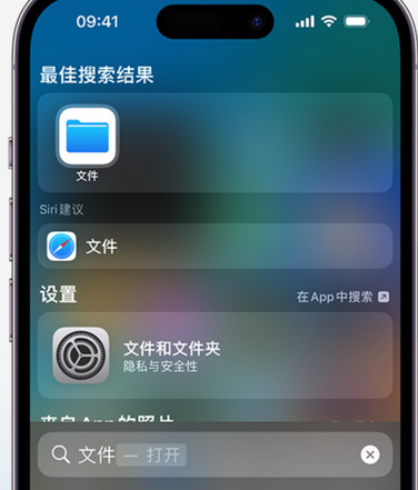 莲池apple维修中心分享iPhone文件应用中存储和找到下载文件