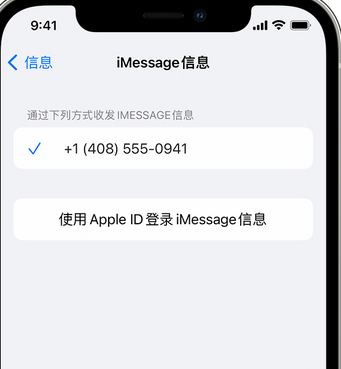 莲池apple维修iPhone上无法正常发送iMessage信息 