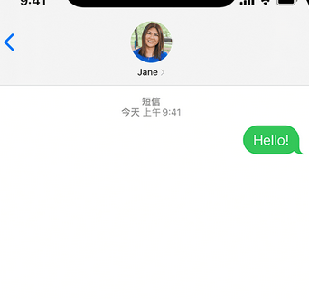 莲池apple维修iPhone上无法正常发送iMessage信息