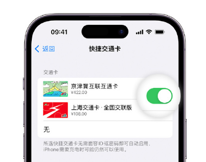 莲池apple维修点分享iPhone上更换Apple Pay快捷交通卡手绘卡面 