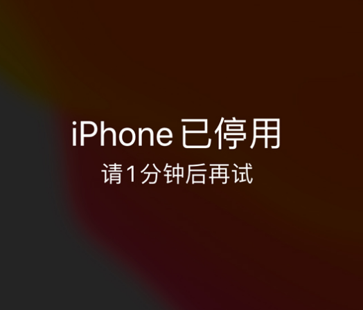 莲池苹果手机维修分享:iPhone 显示“不可用”或“已停用”怎么办？还能保留数据吗？ 