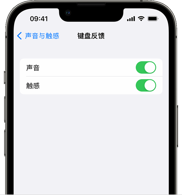 莲池苹果14维修店分享如何在 iPhone 14 机型中使用触感键盘 