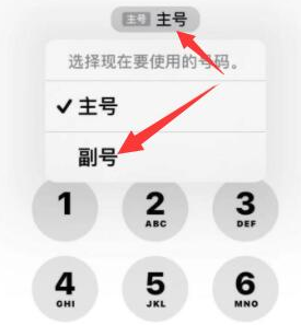 莲池苹果14维修店分享iPhone 14 Pro Max使用副卡打电话的方法 