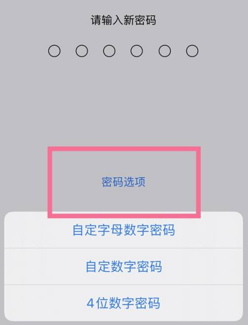 莲池苹果14维修分享iPhone 14plus设置密码的方法 