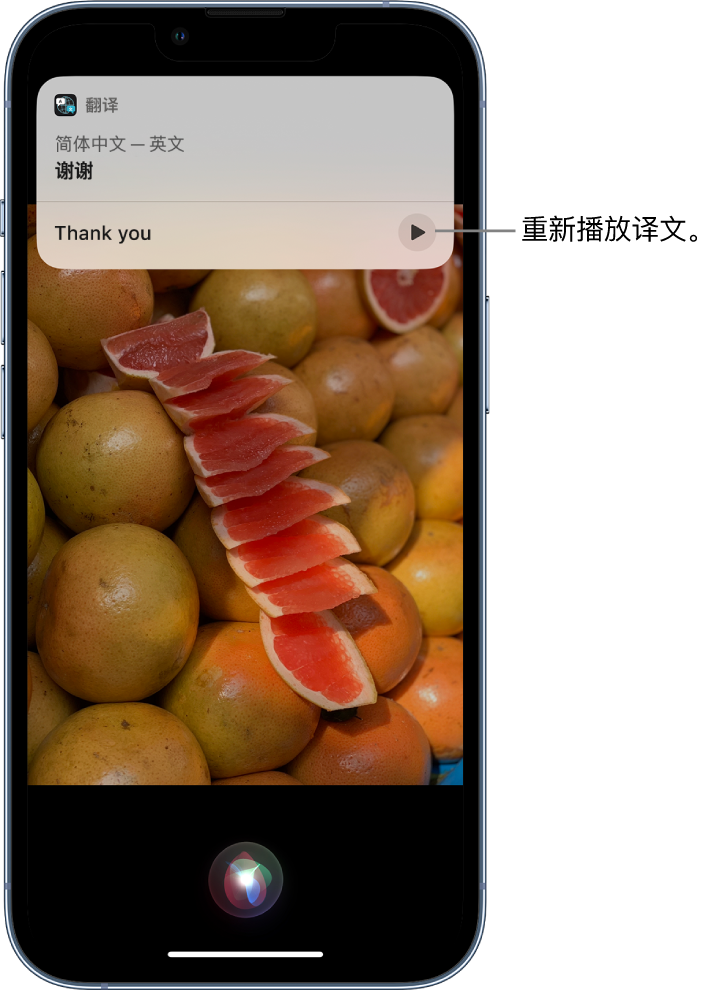 莲池苹果14维修分享 iPhone 14 机型中使用 Siri：了解 Siri 能帮你做什么 