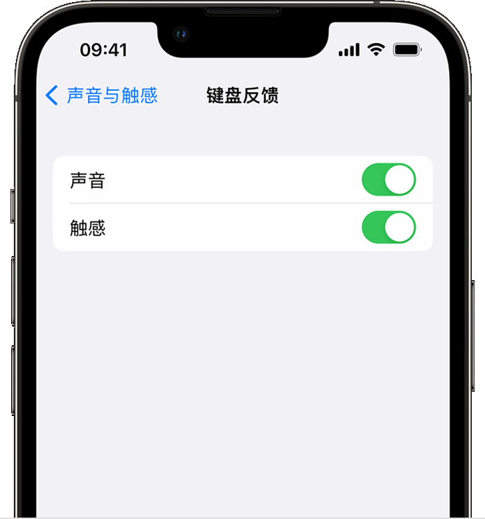 莲池苹果14维修分享iPhone 14 系列机型如何开启键盘声音或触感反馈 