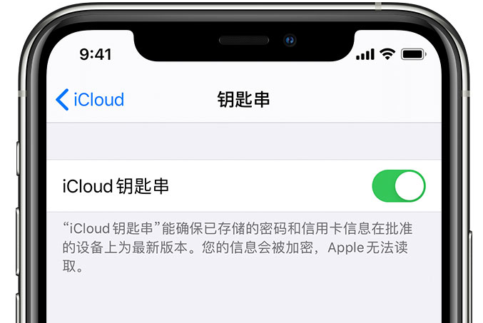 莲池苹果手机维修分享在 iPhone 上开启 iCloud 钥匙串之后会储存哪些信息 