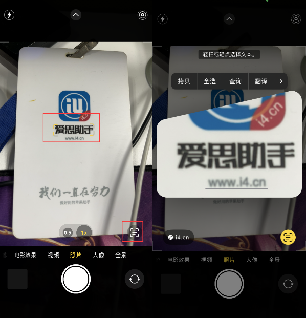 莲池苹果手机维修分享升级iOS 16后如何通过相机翻译文本 