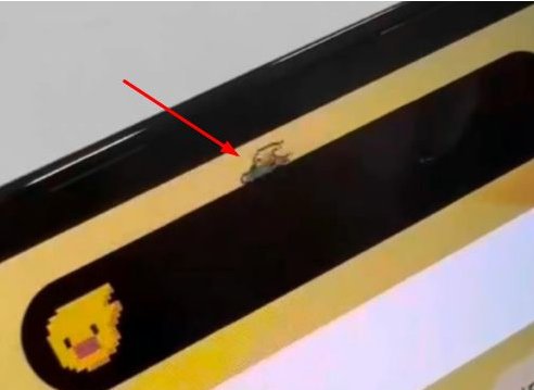 莲池苹果14维修分享iPhone 14 Pro Max灵动岛怎么养宠物 