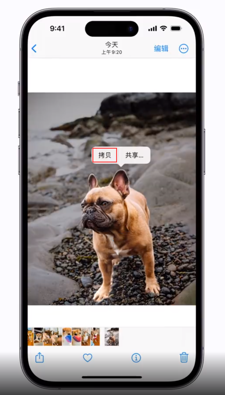 莲池苹果手机维修分享 iOS 16 自带一键抠图功能 