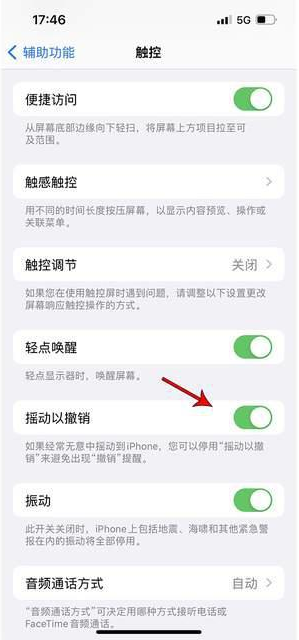 莲池苹果手机维修分享iPhone手机如何设置摇一摇删除文字 