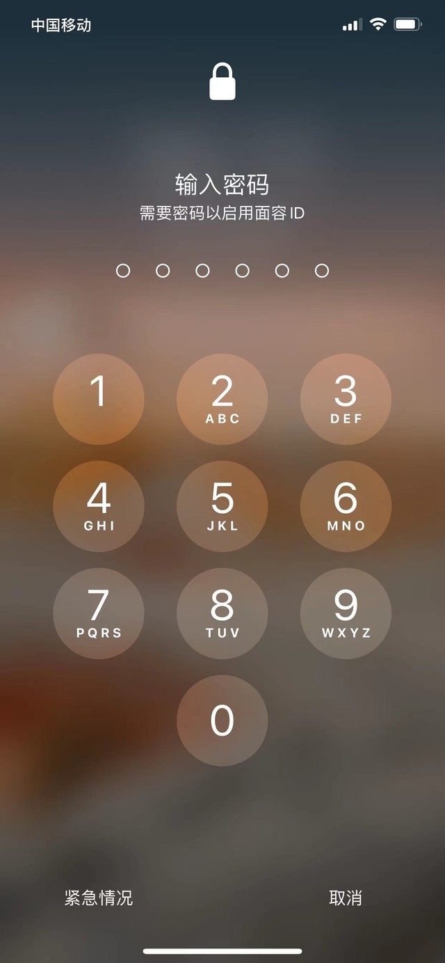莲池苹果13维修分享iPhone 13加强锁屏功能有什么用 