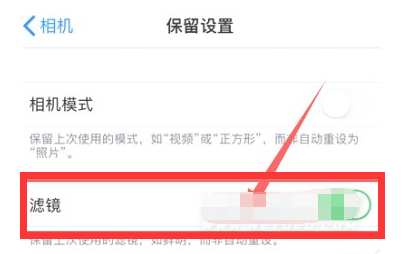 莲池苹果13维修分享iPhone13拍照有绿点是怎么回事 