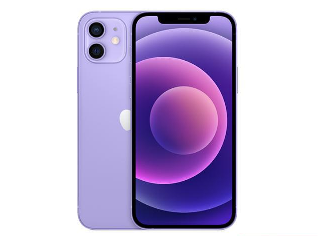 莲池苹果手机维修分享现阶段要不要入手紫色版iPhone12 