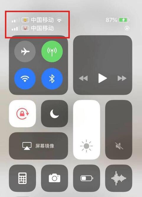 莲池苹果手机维修分享为 iPhone 12 双卡设置标签 