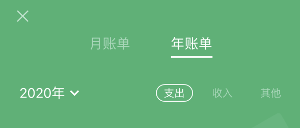 莲池苹果手机维修分享如何在 iPhone 上查看支付宝和微信年支出账单 