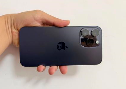 莲池苹果维修点分享iPhone 14 Pro Max黑屏少见故障盘点 